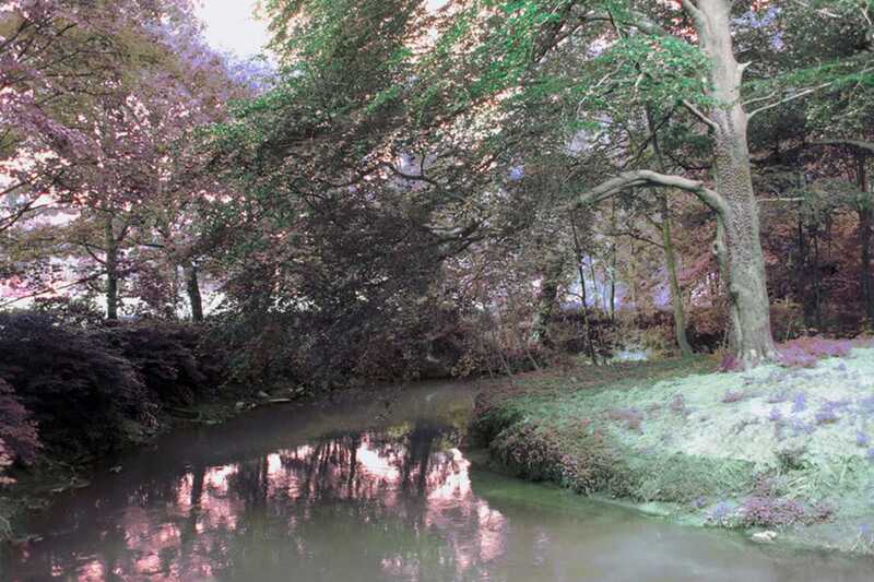 De Dijle doorheen het park van het kasteel van Arenberg ten zuiden van Leuven