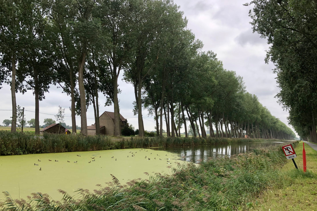 De Damse Vaart, een (té) groen kanaal