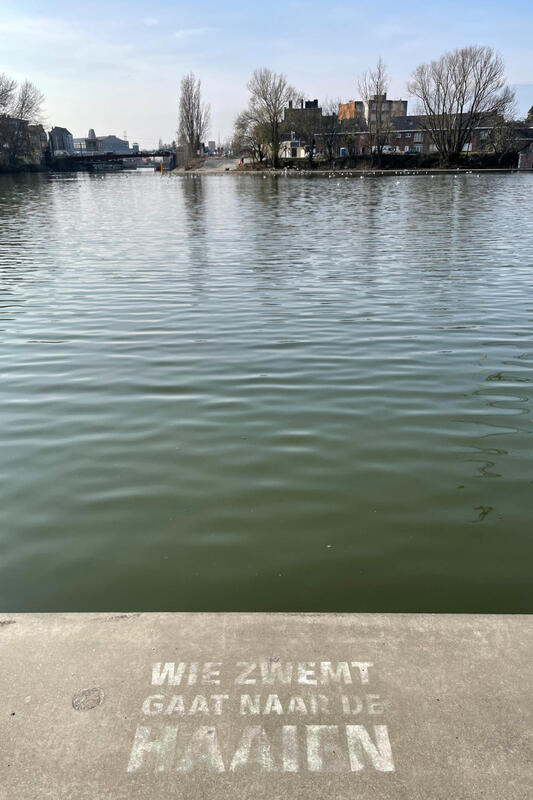 Ontrading om te zwemmen in het Houtdok te Gent (maart 2021)