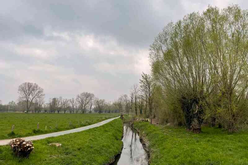 De Molenbeek (Ter Erpenbeek) stroomafwaart gezien aan de Koebrugstraat nabij de Oudenaardsesteenweg te Erpe-Mere